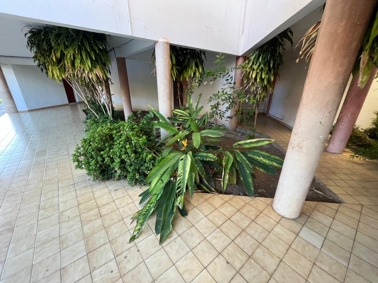 Vente Appartement à Cayenne 2 pièces