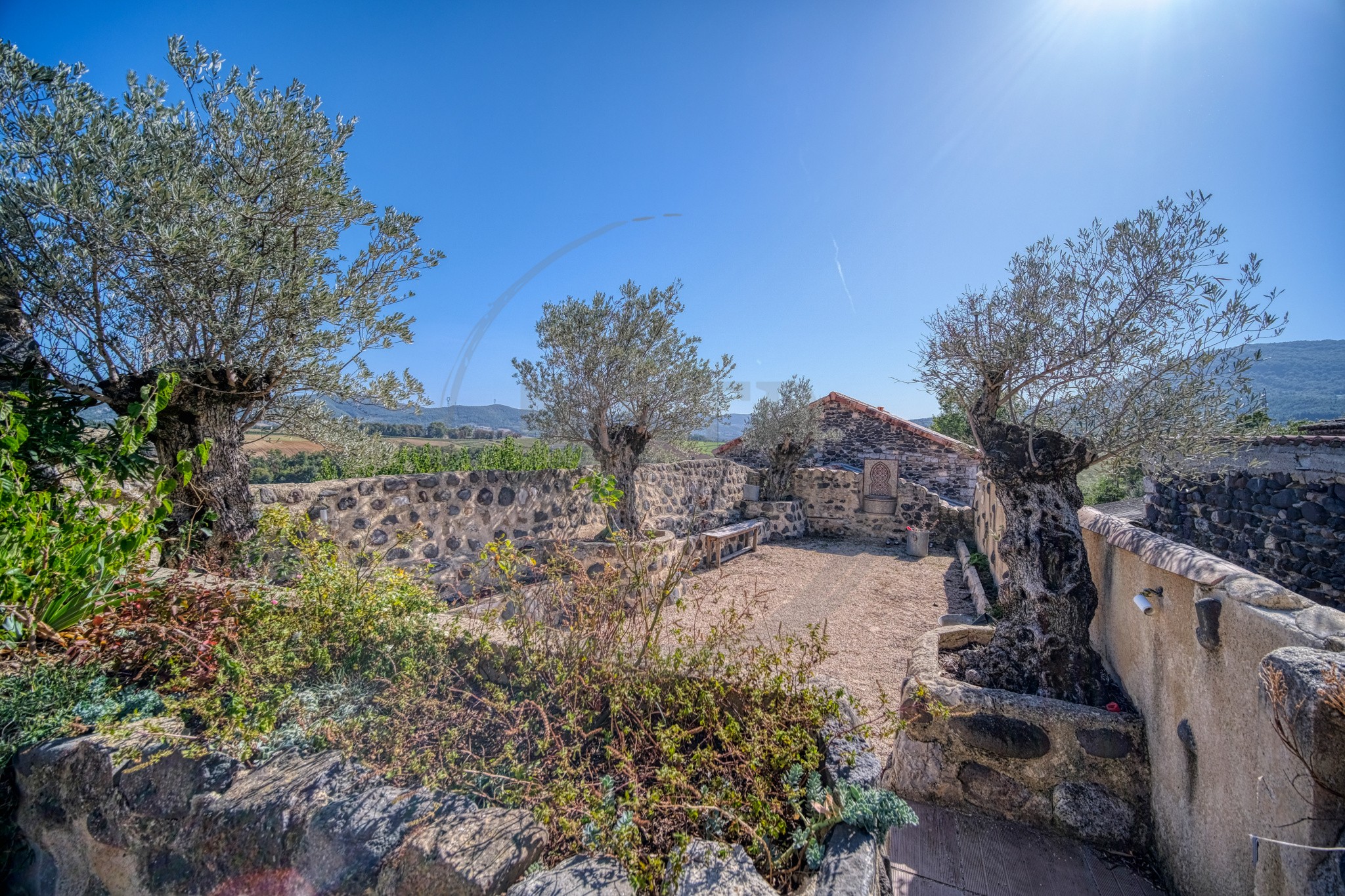 Vente Maison à Saint-Lager-Bressac 14 pièces