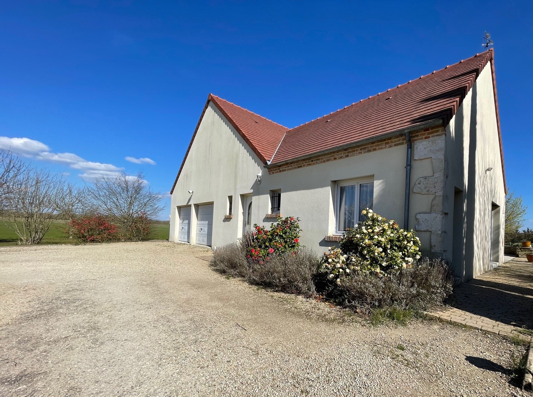 Viager Maison à Saint-Denis-en-Val 7 pièces