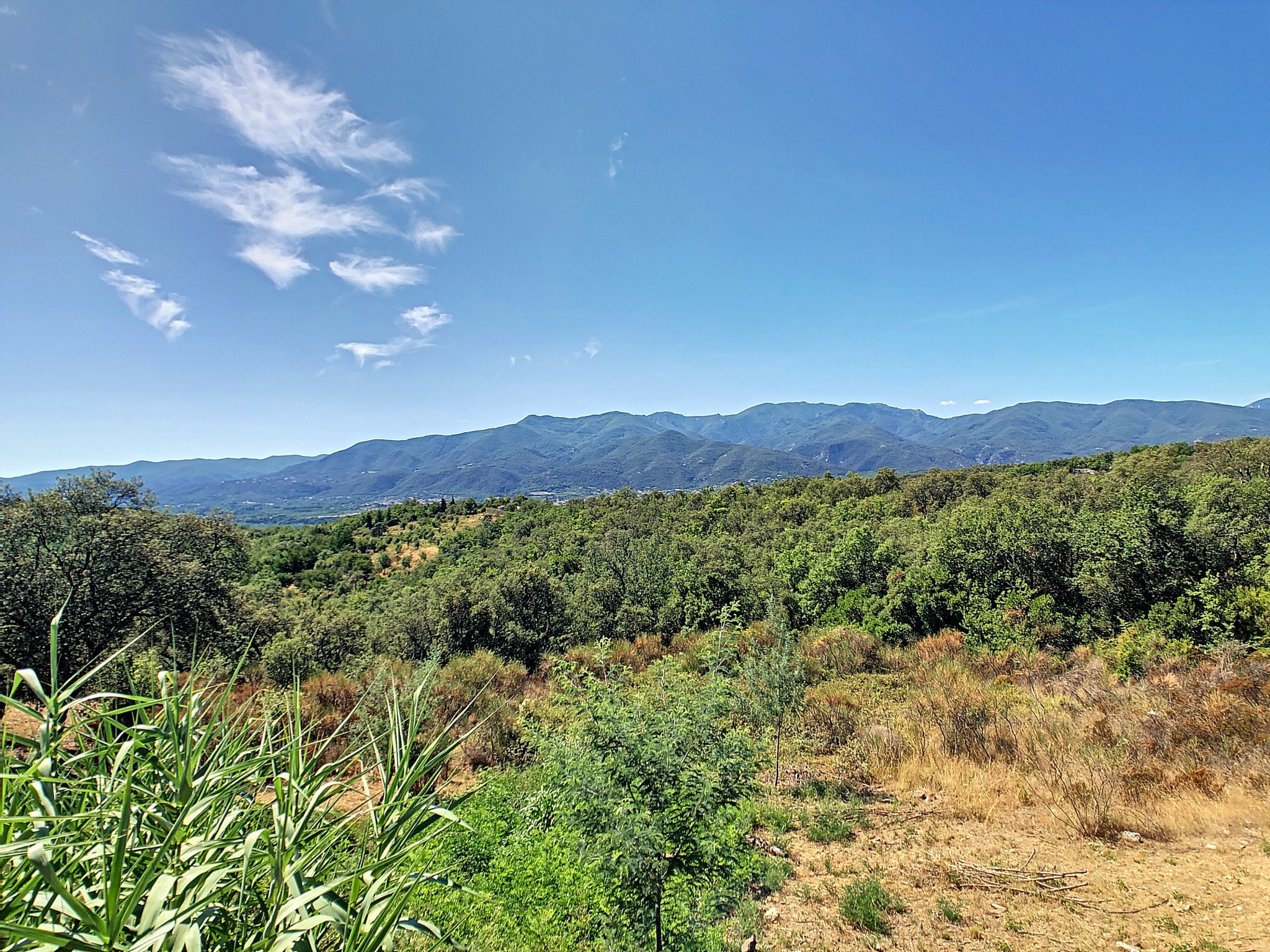 Vente Maison à Céret 9 pièces