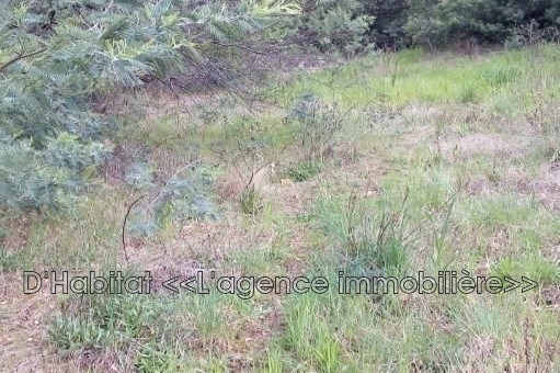 Vente Terrain à Vidauban 0 pièce