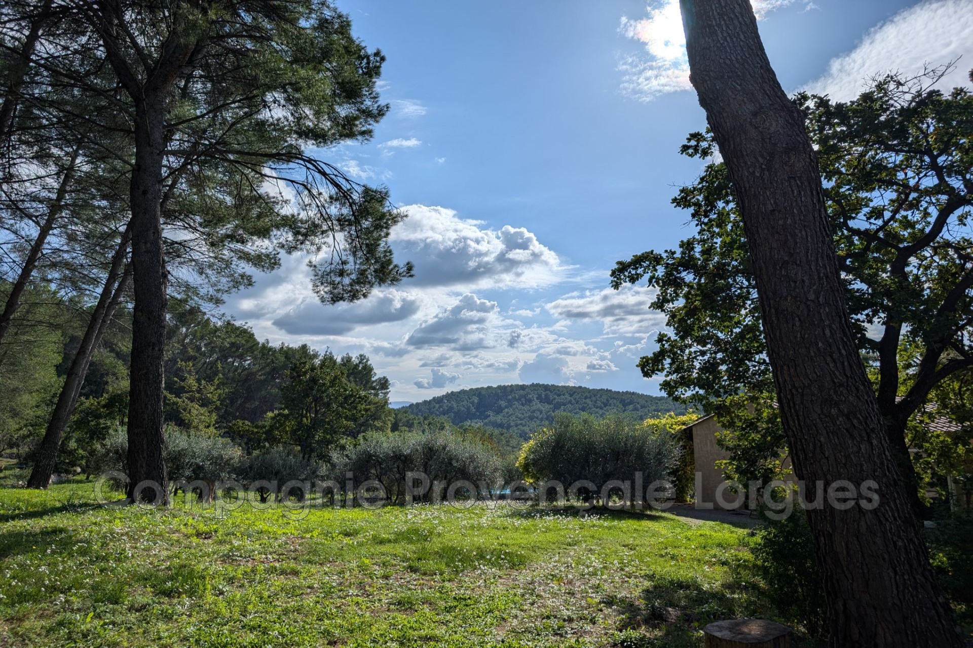 Vente Maison à Draguignan 10 pièces