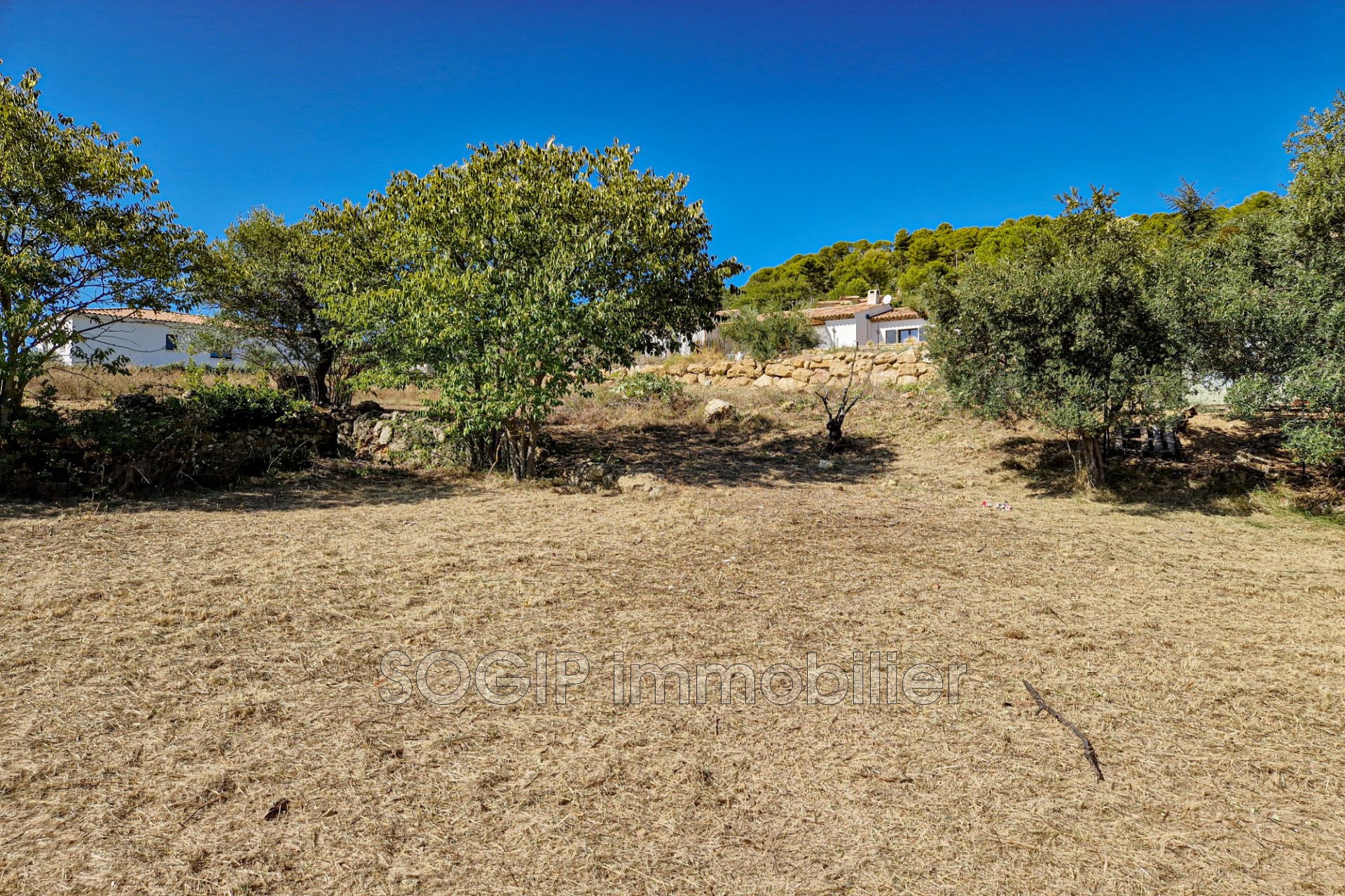 Vente Terrain à Lorgues 0 pièce