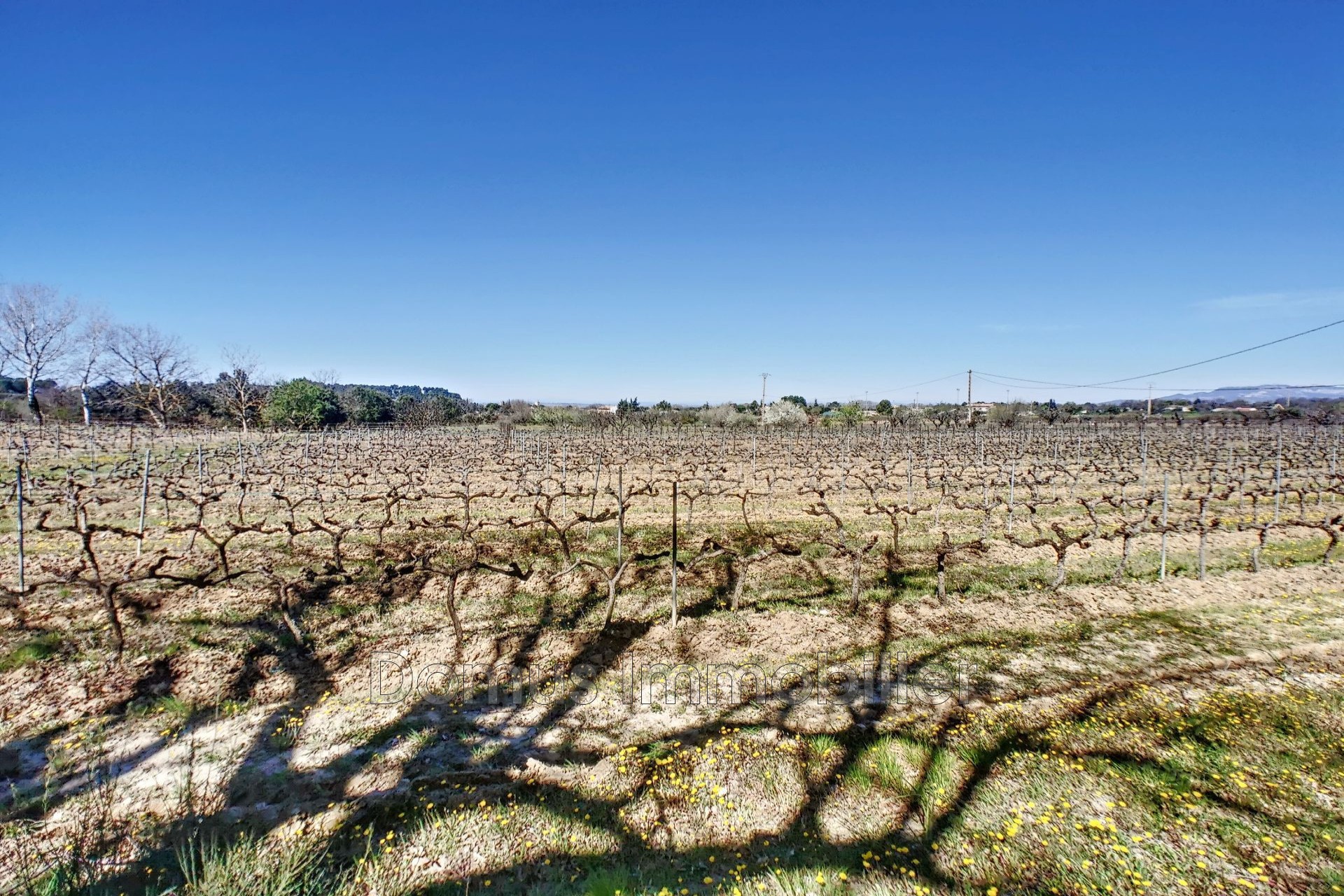 Vente Maison à Pernes-les-Fontaines 8 pièces