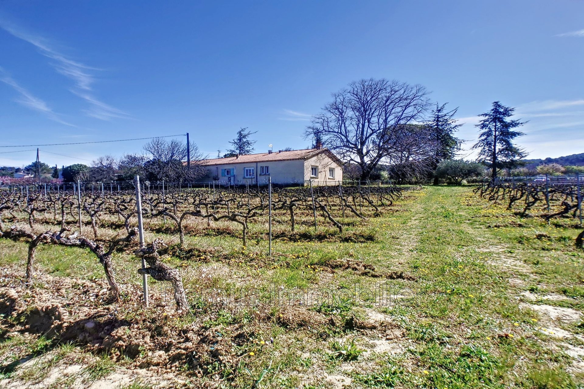 Vente Maison à Pernes-les-Fontaines 8 pièces