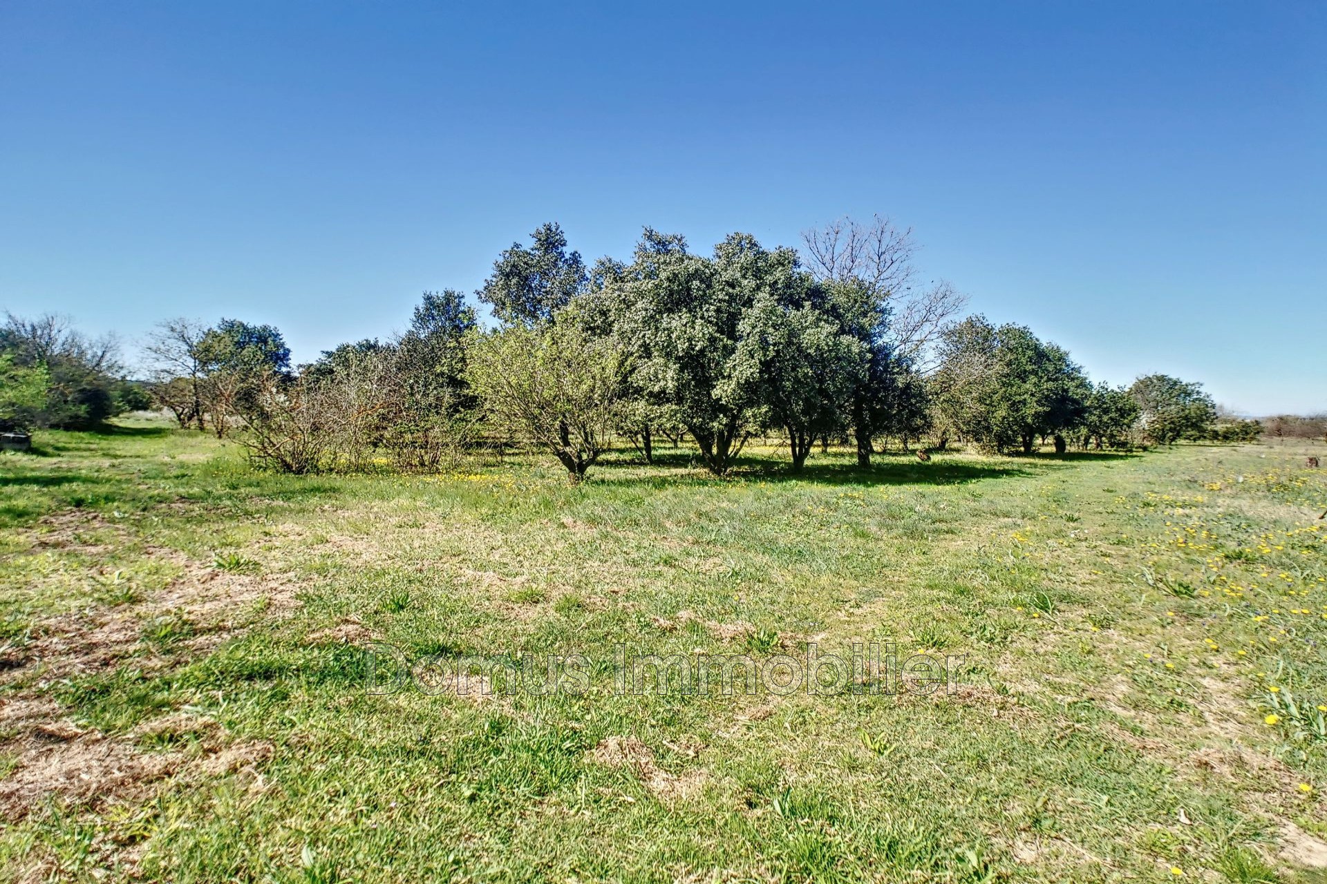 Vente Maison à Pernes-les-Fontaines 8 pièces