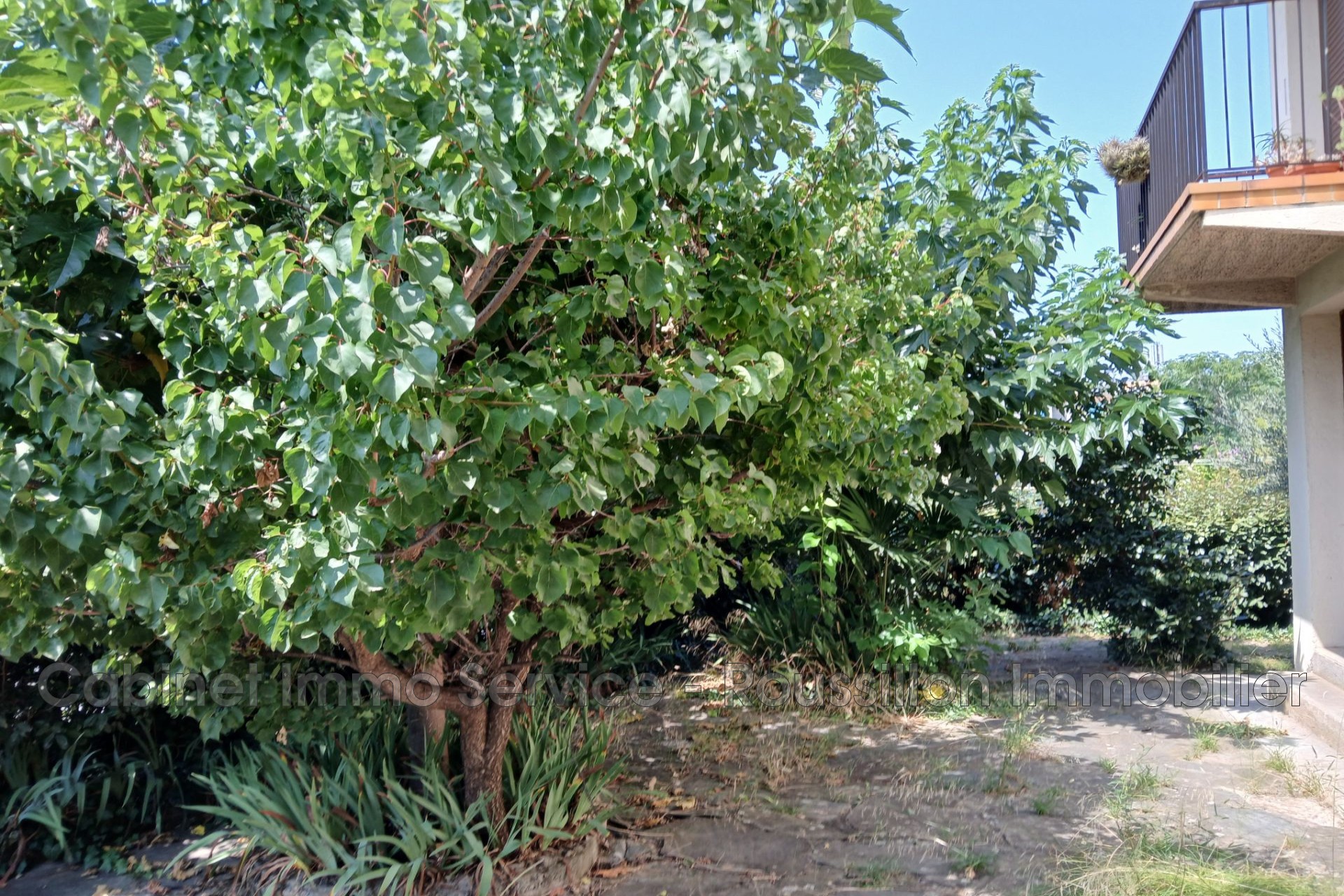 Vente Maison à Céret 5 pièces