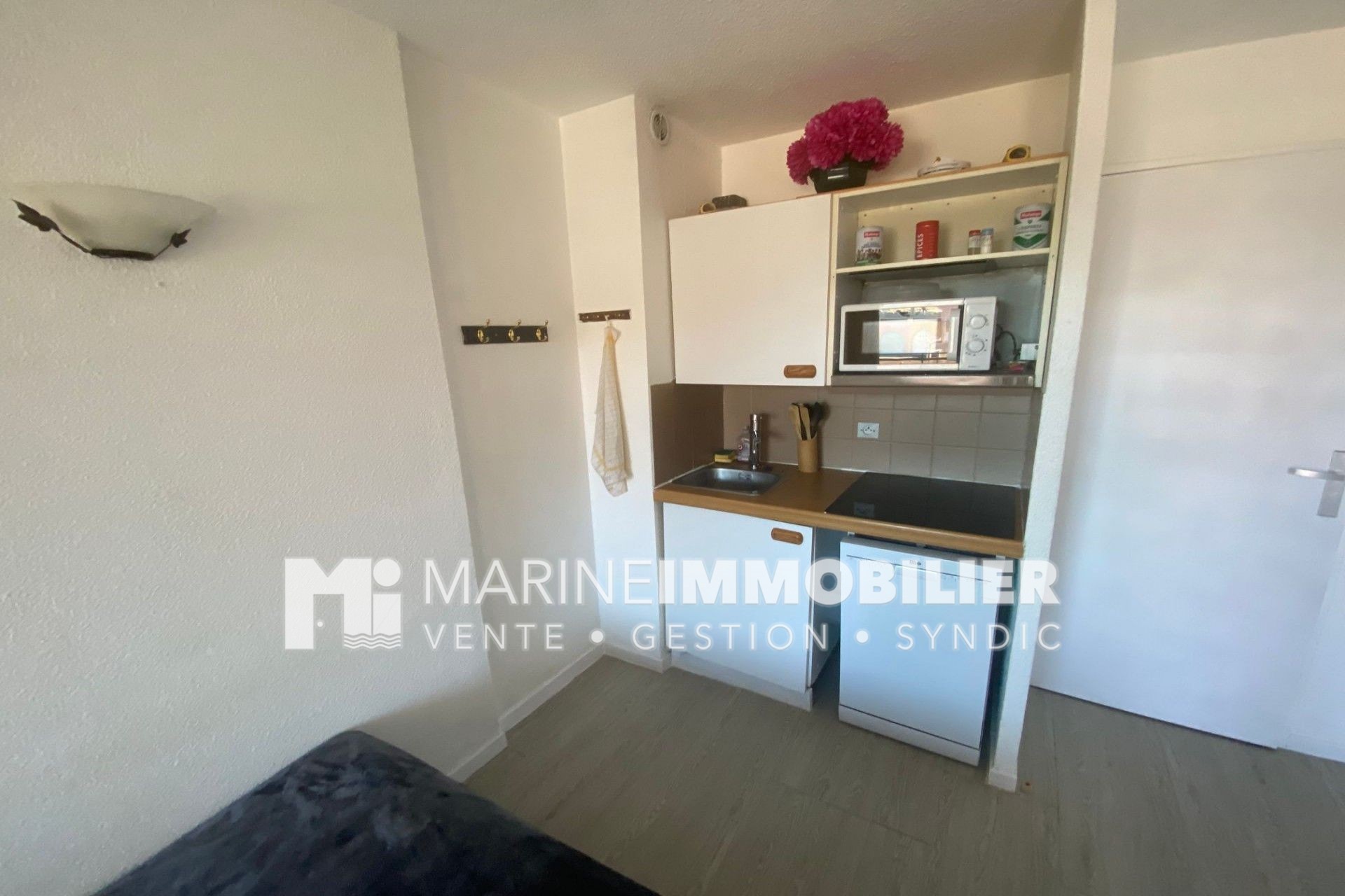 Vente Appartement à Saint-Cyprien 0 pièce