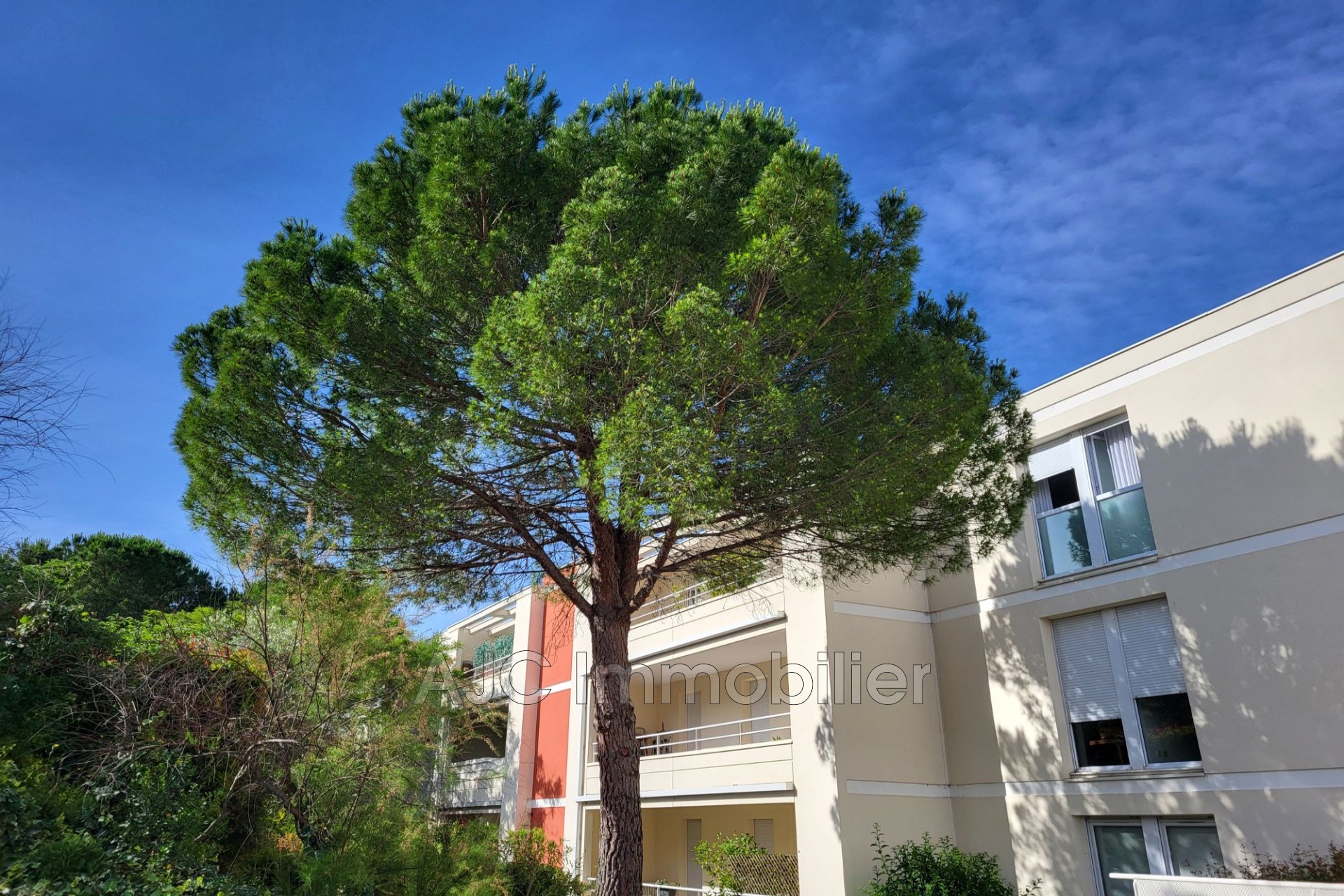 Vente Appartement à Montpellier 4 pièces