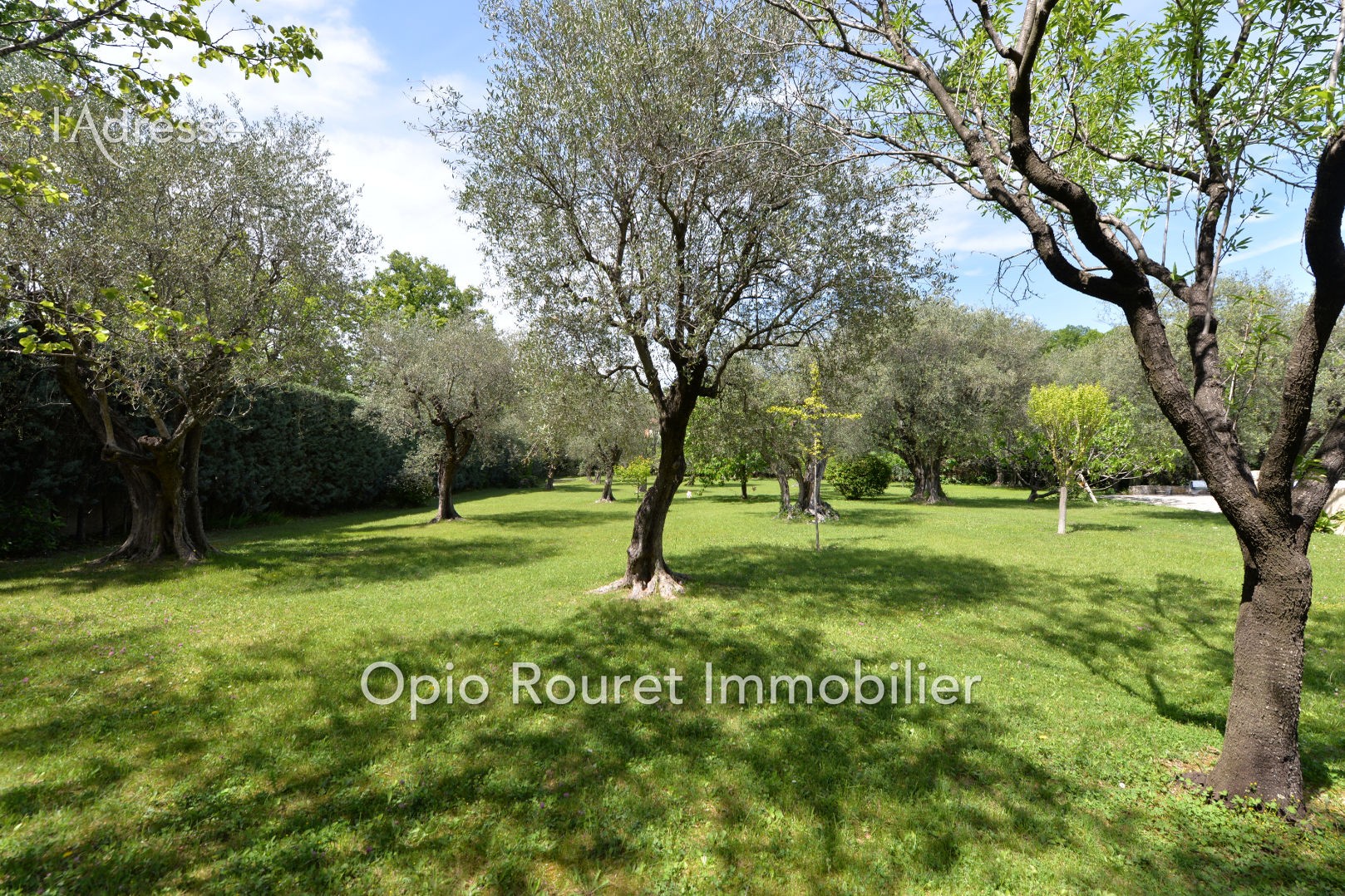 Vente Maison à Châteauneuf-Grasse 8 pièces