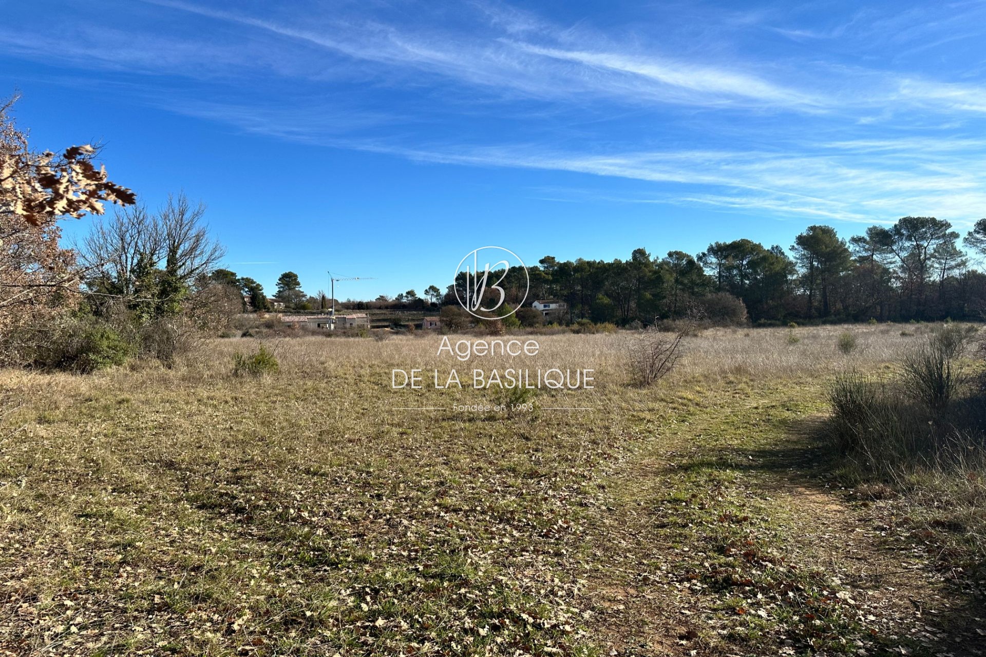 Vente Terrain à Saint-Maximin-la-Sainte-Baume 0 pièce