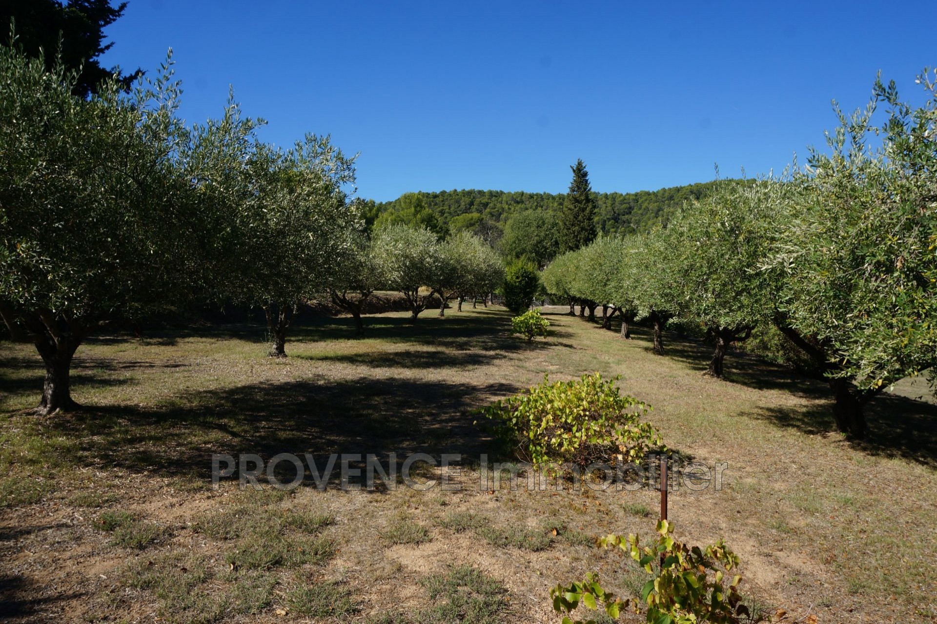 Vente Maison à Salernes 8 pièces