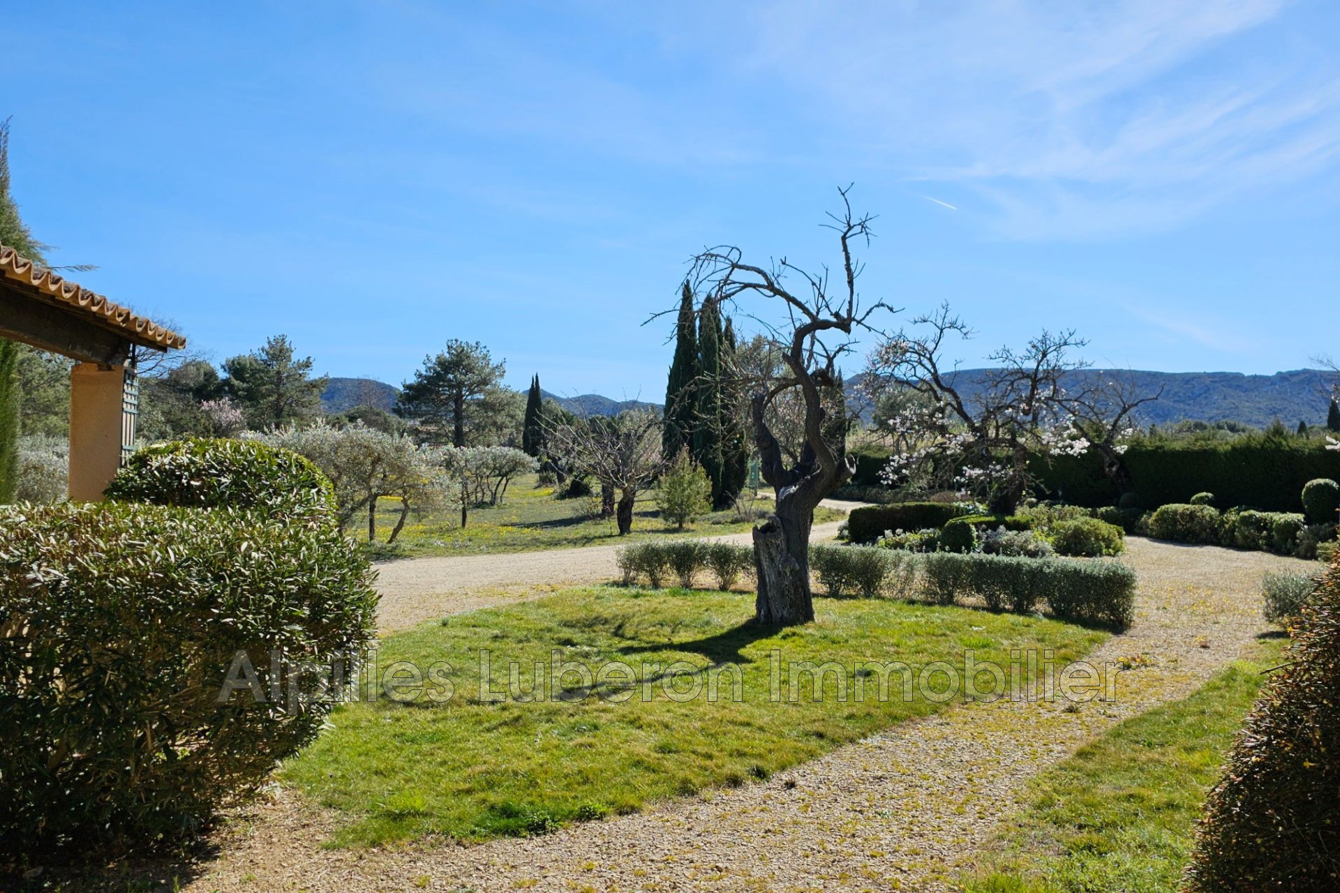 Location Maison à Eygalières 6 pièces