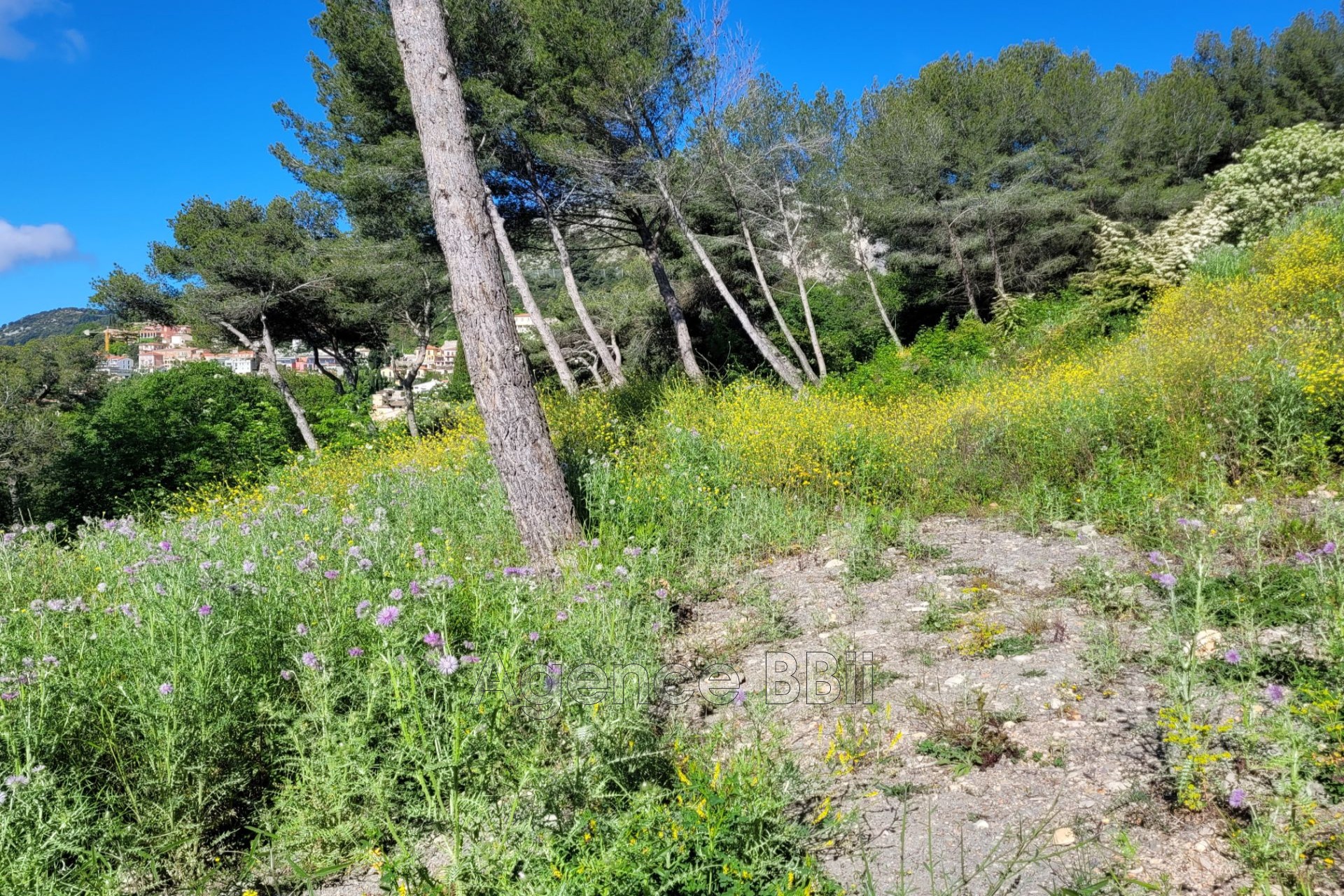 Vente Terrain à la Turbie 0 pièce