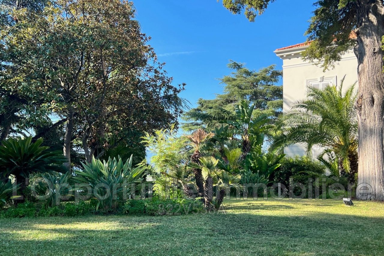 Vente Appartement à Cannes 1 pièce