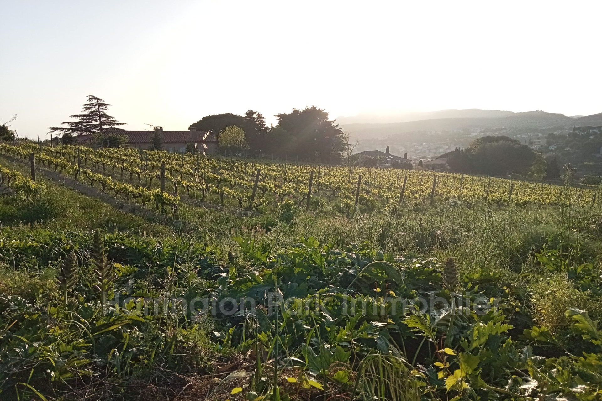 Vente Maison à Cassis 4 pièces