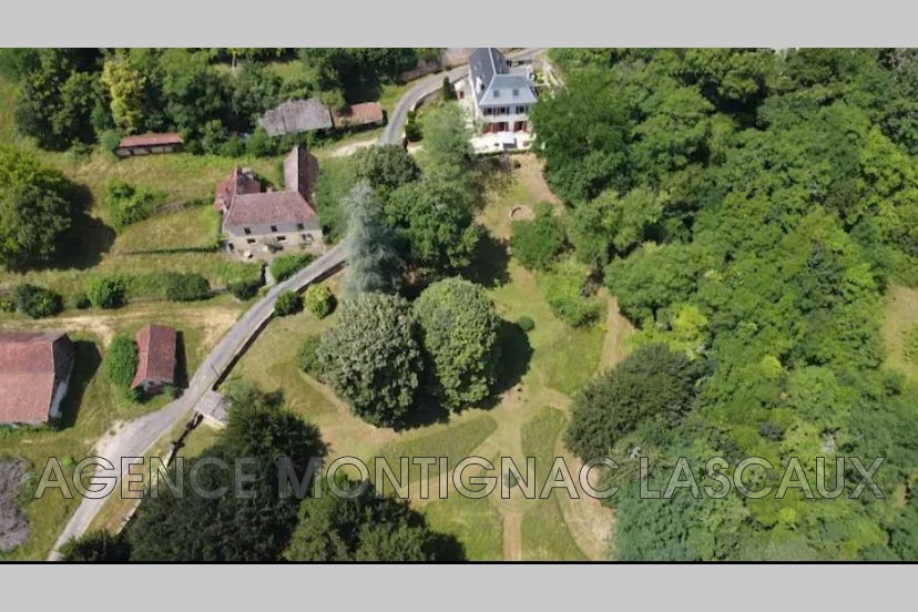 Vente Maison à Montignac 10 pièces