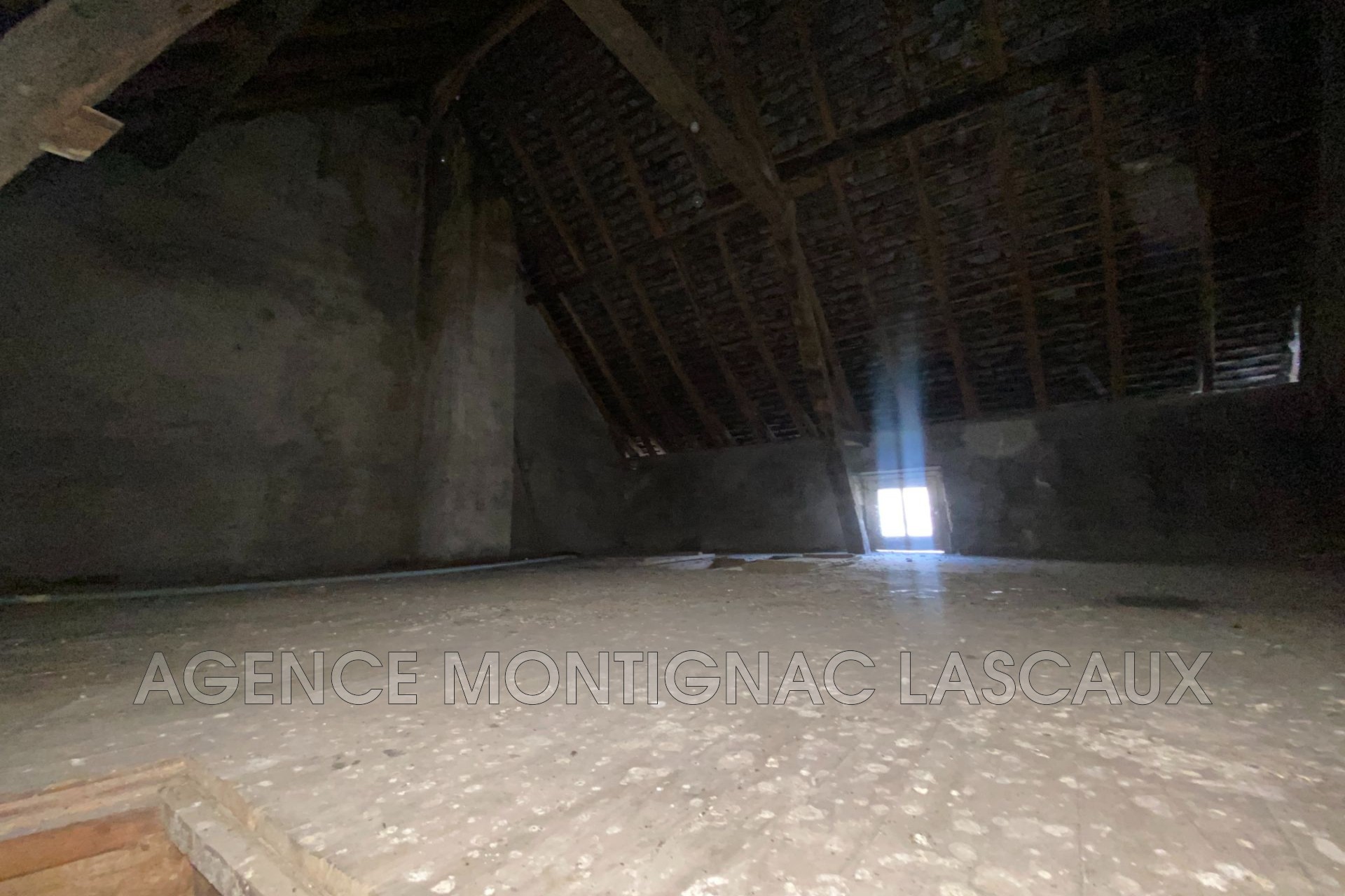 Vente Maison à Montignac 0 pièce