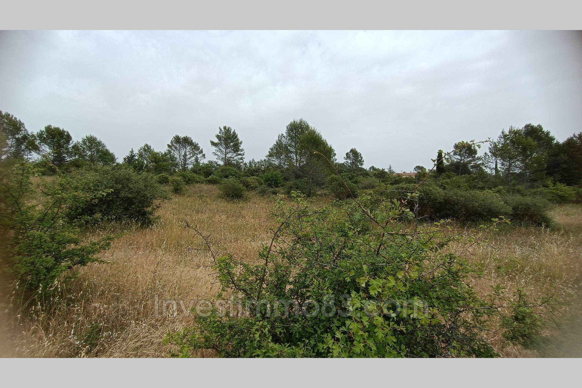 Vente Terrain à Garéoult 0 pièce