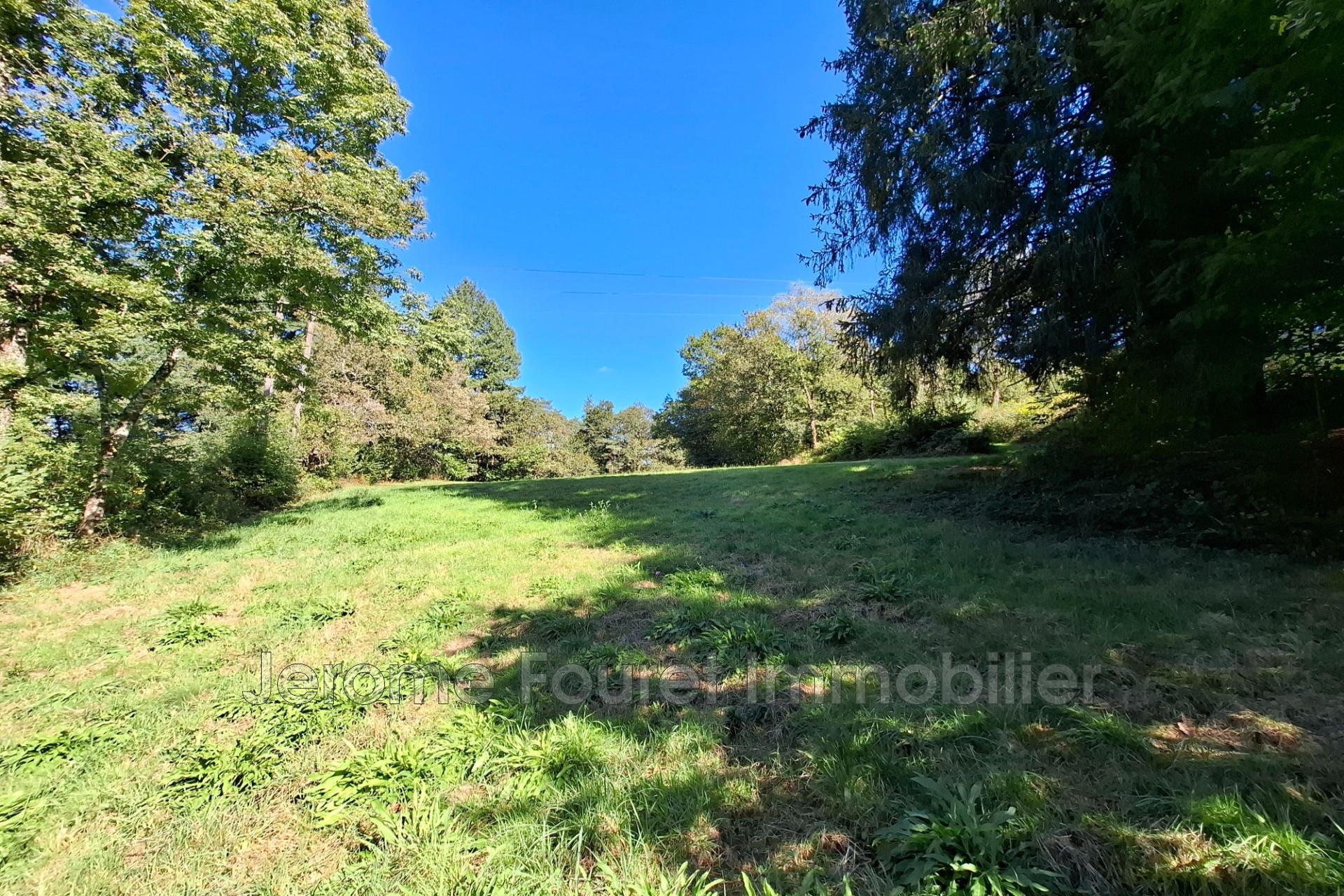 Vente Maison à Sarran 0 pièce