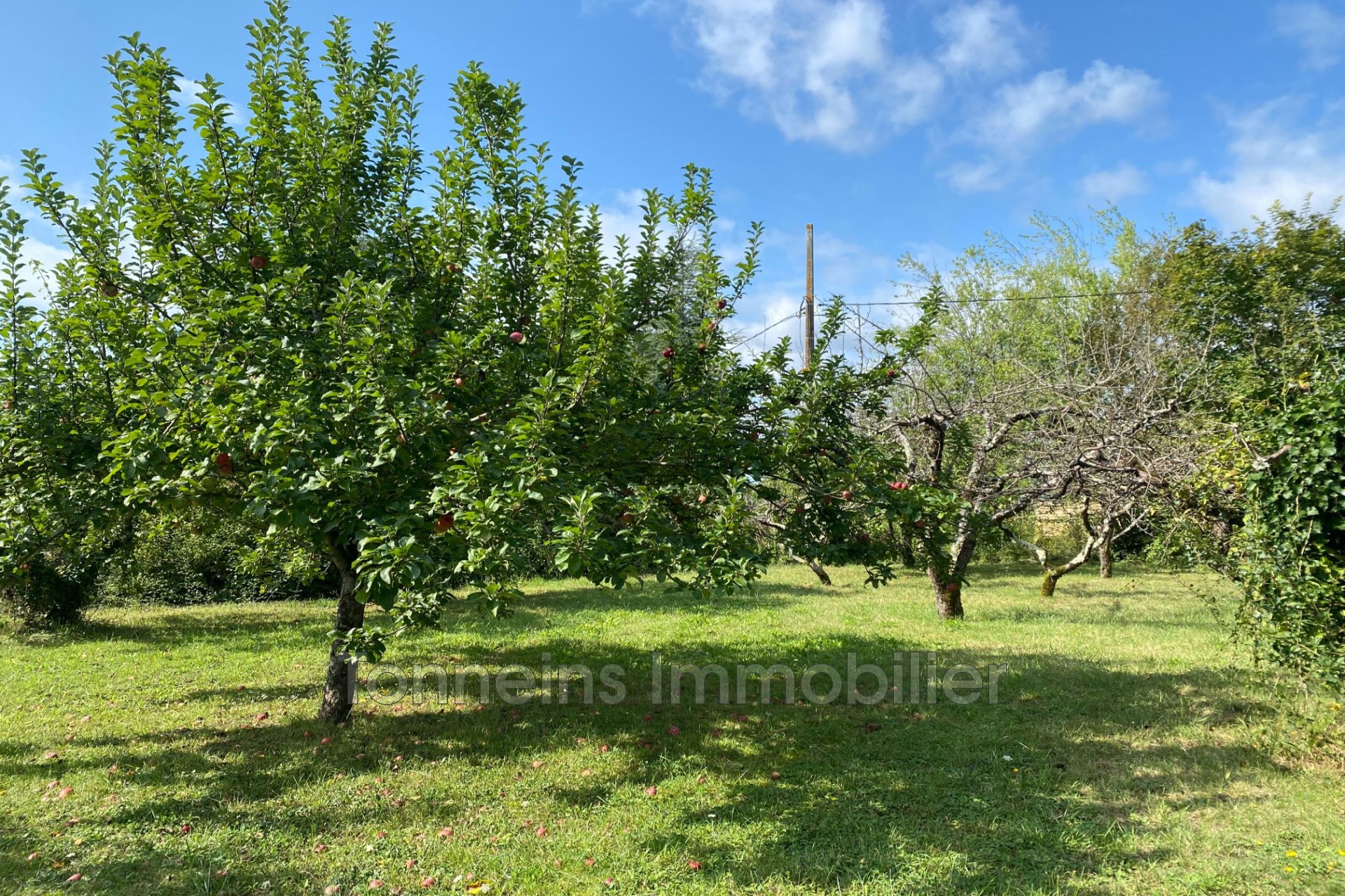 Vente Maison à Tonneins 5 pièces