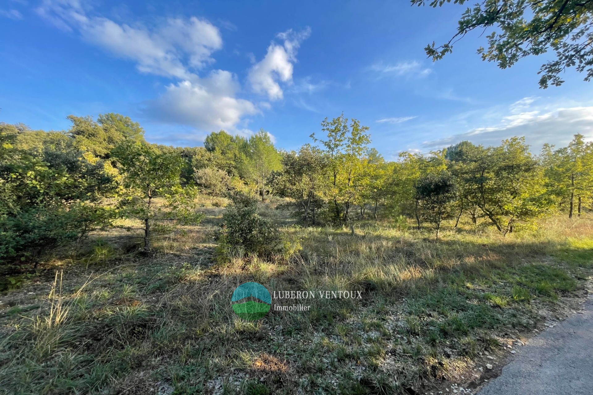 Vente Terrain à Mazan 0 pièce