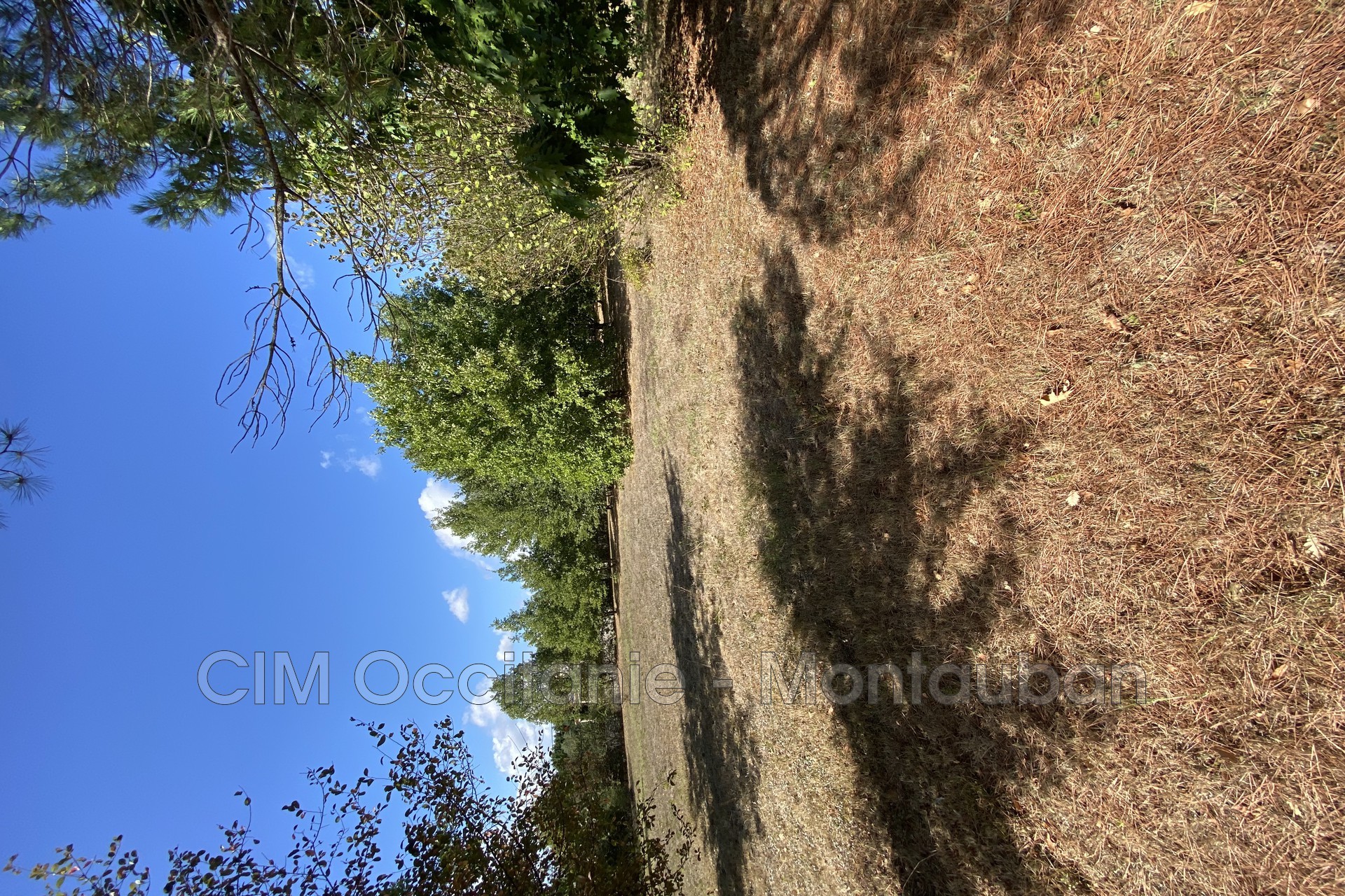 Vente Terrain à Nègrepelisse 0 pièce