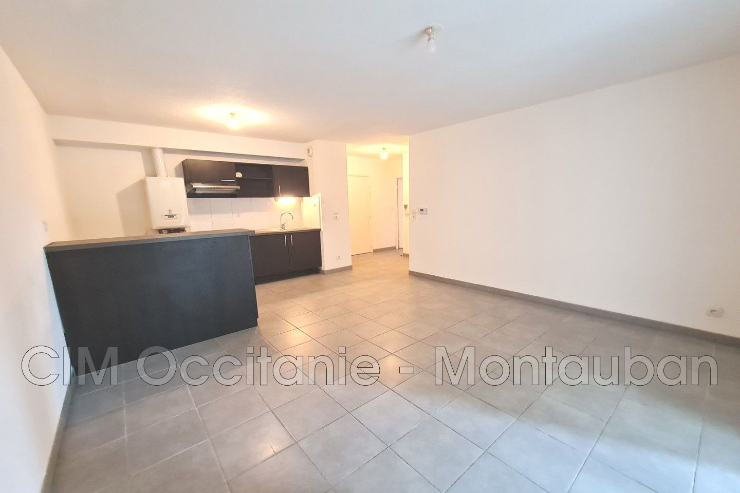 Vente Appartement à Aucamville 3 pièces