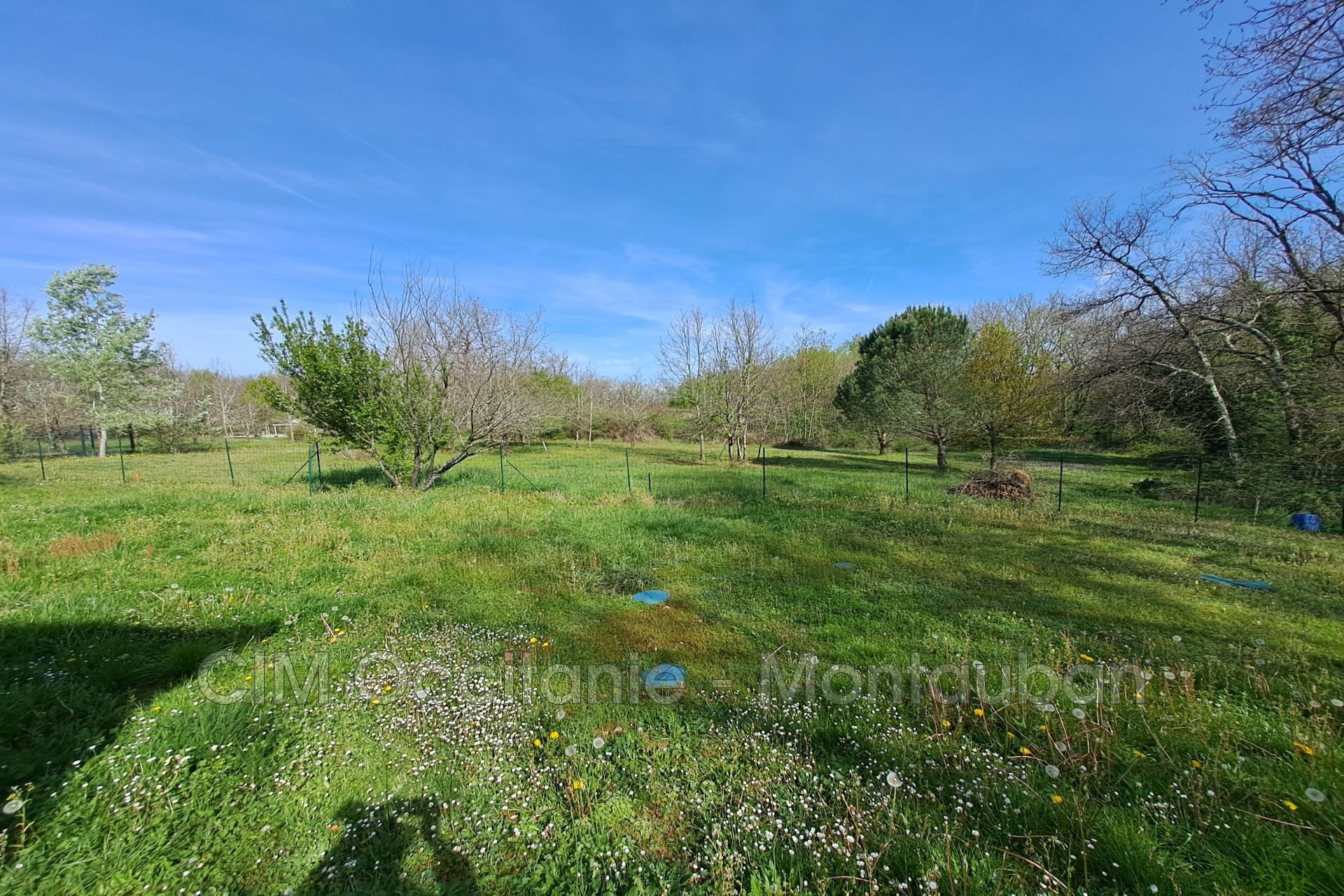 Vente Terrain à Saint-Etienne-de-Tulmont 0 pièce