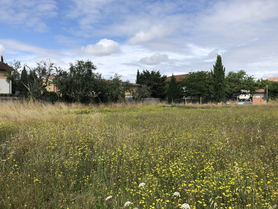 Vente Terrain à Cugnaux 0 pièce