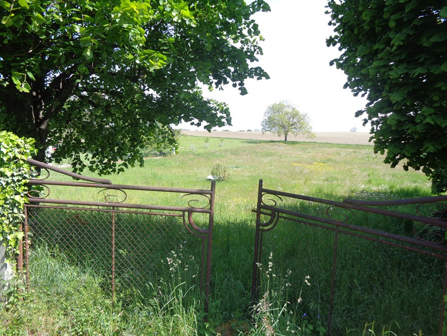 Vente Terrain à Saint-Gérand-le-Puy 0 pièce