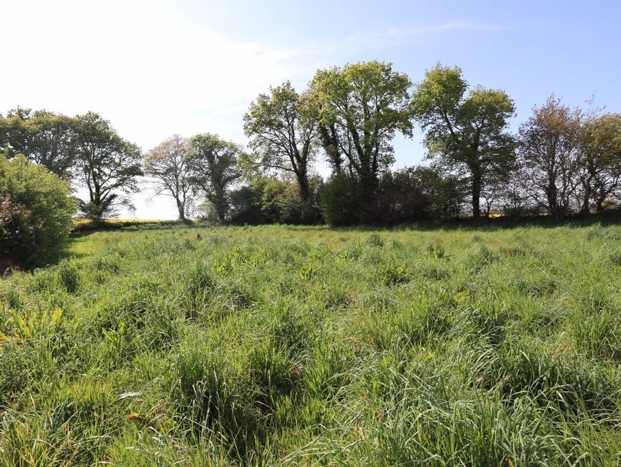 Vente Terrain à Carhaix-Plouguer 0 pièce