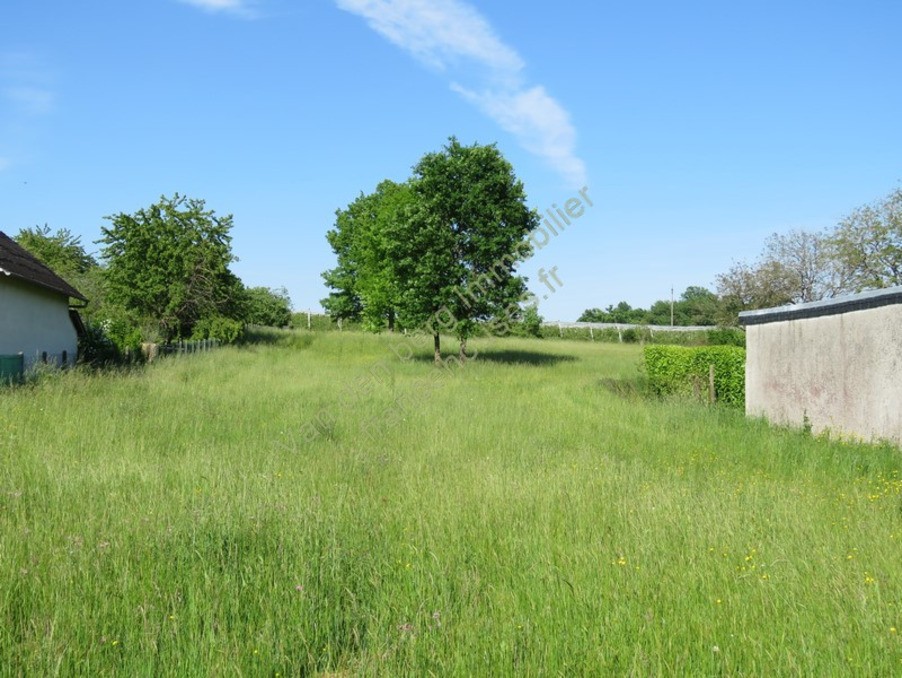 Vente Terrain à Arnac-Pompadour 0 pièce