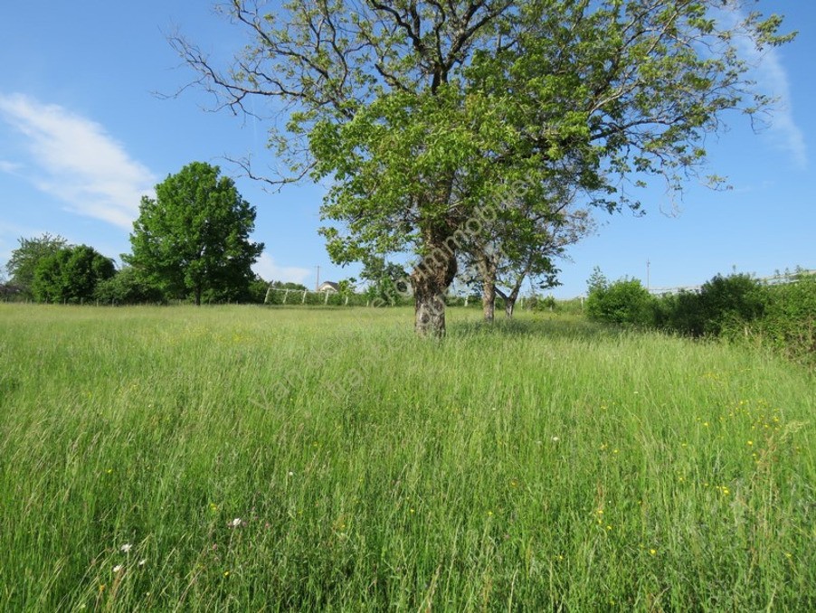 Vente Terrain à Arnac-Pompadour 0 pièce