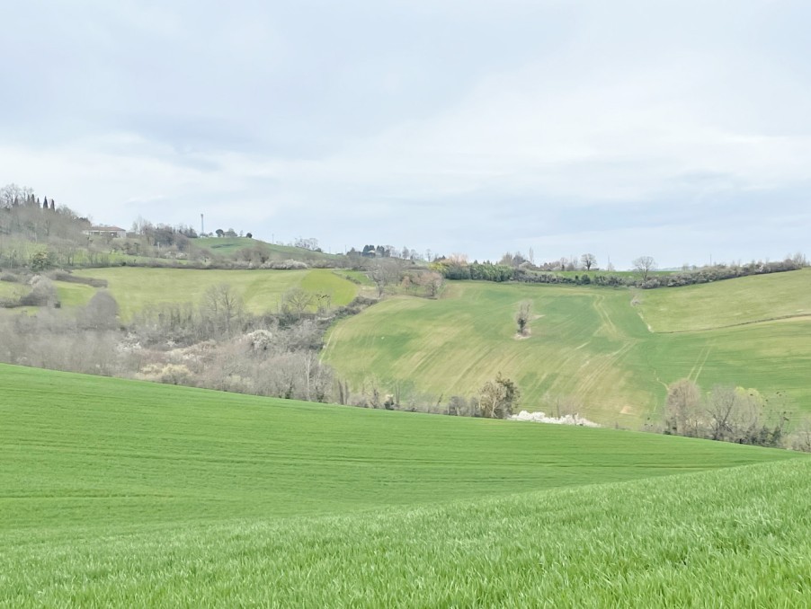 Vente Terrain à Carla-Bayle 0 pièce