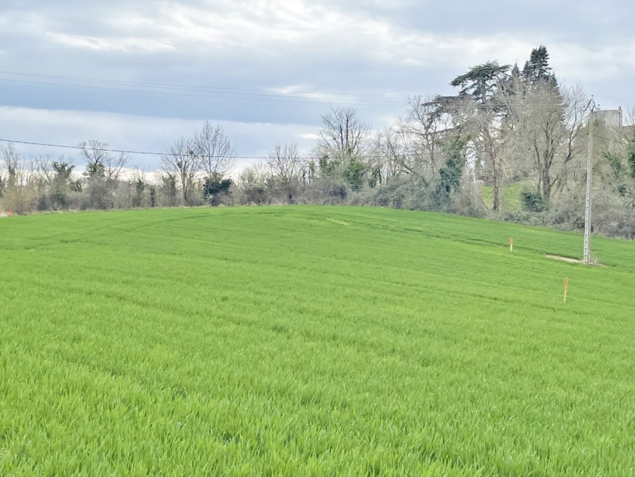 Vente Terrain à Carla-Bayle 0 pièce