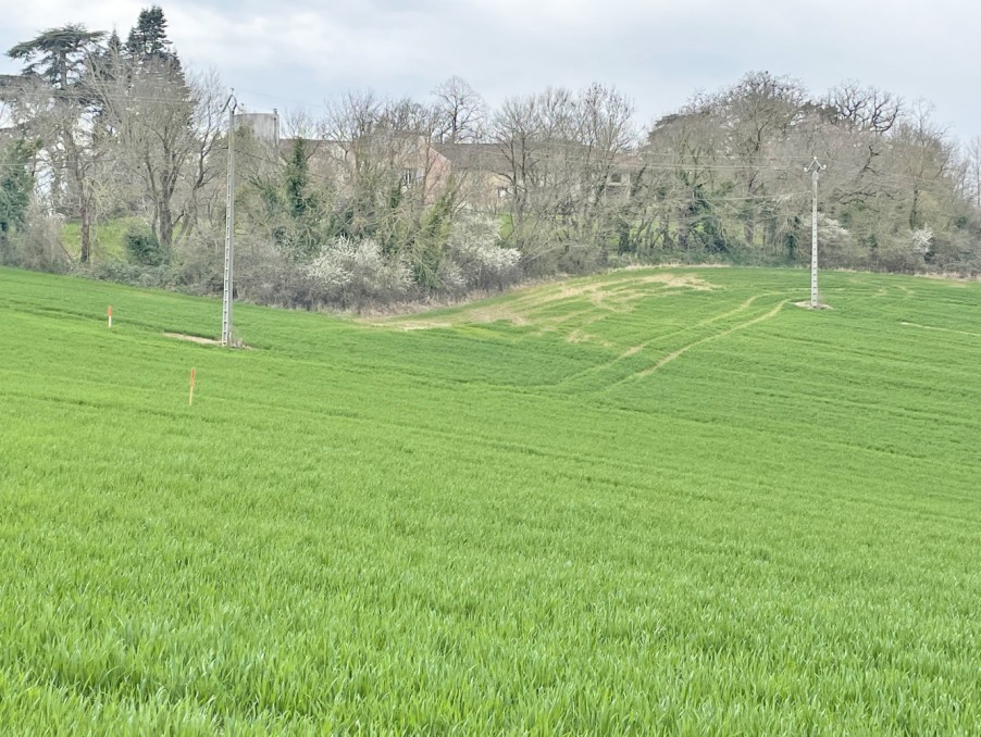 Vente Terrain à Carla-Bayle 0 pièce