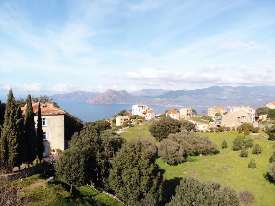 Vente Appartement à Piana 3 pièces