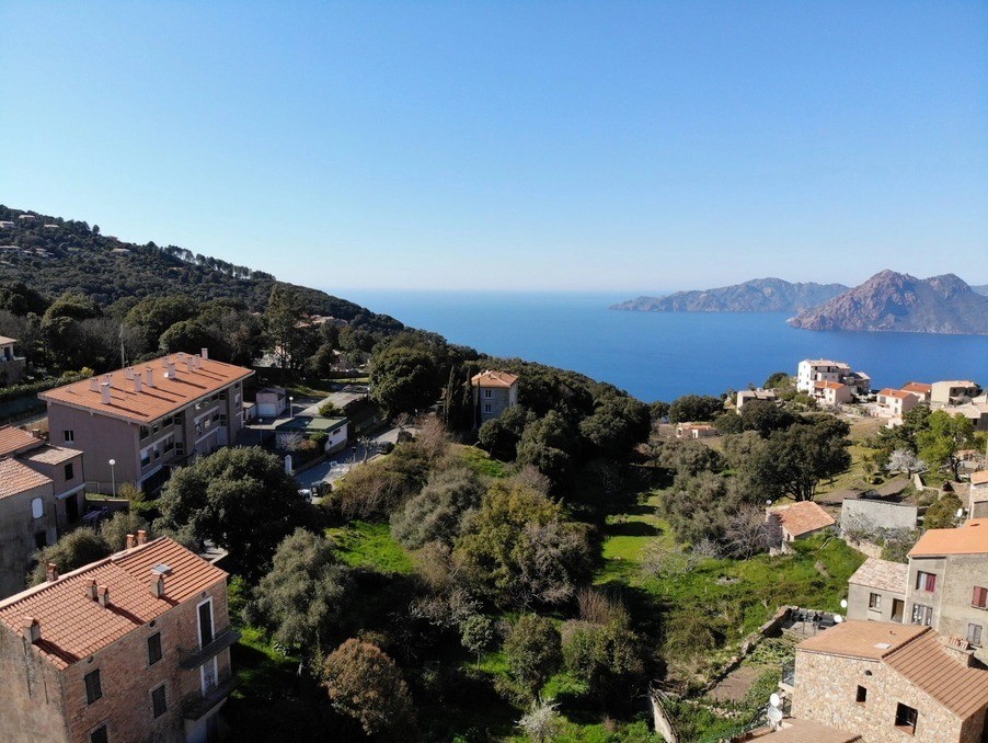 Vente Appartement à Piana 3 pièces