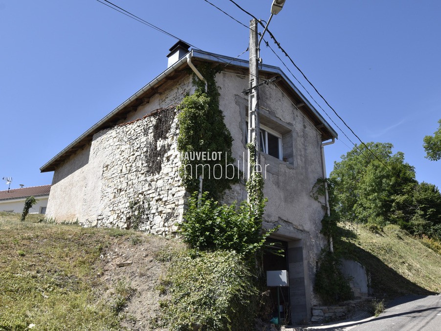 Vente Maison à Socourt 3 pièces