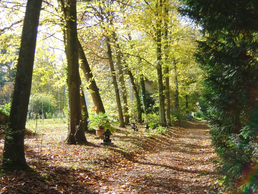 Vente Maison à Bois-le-Roi 5 pièces