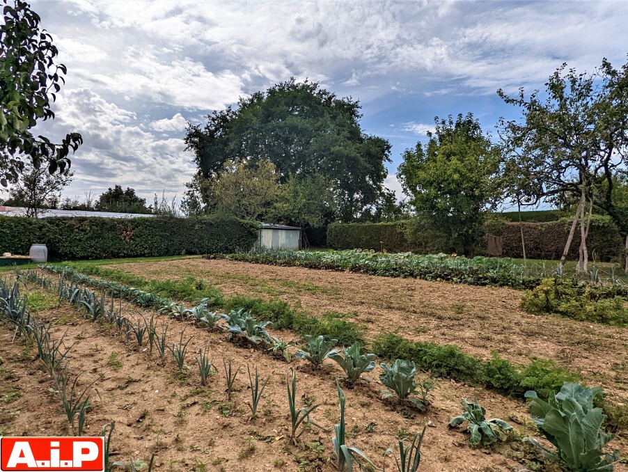 Vente Terrain à Cerizay 0 pièce