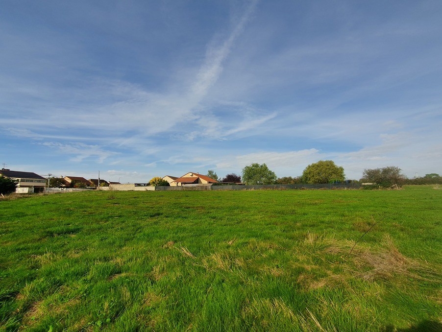 Vente Terrain à Saint-Martin-en-Bresse 0 pièce