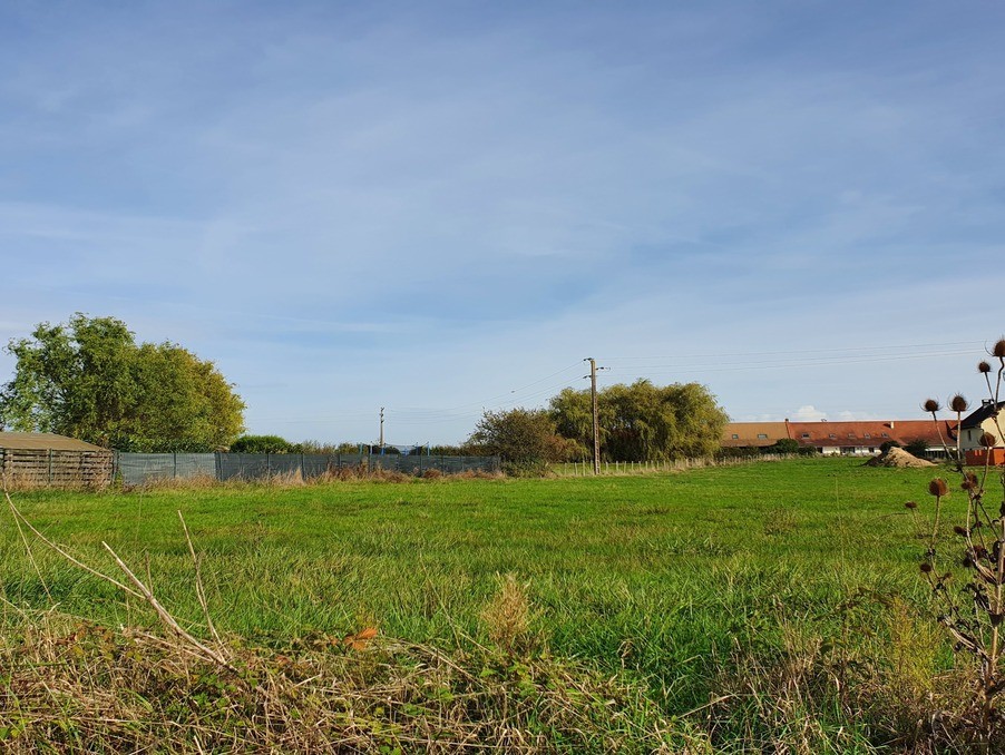 Vente Terrain à Saint-Martin-en-Bresse 0 pièce