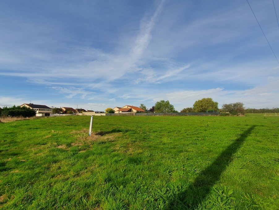 Vente Terrain à Saint-Martin-en-Bresse 0 pièce