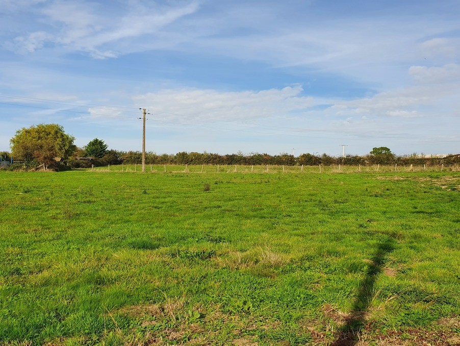 Vente Terrain à Saint-Martin-en-Bresse 0 pièce