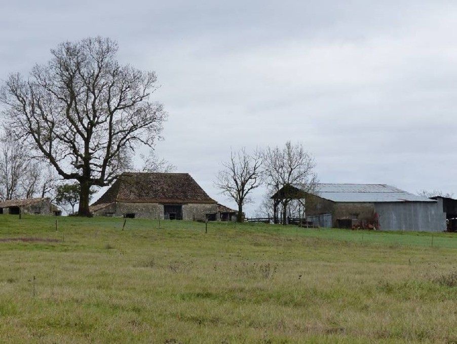 Vente Maison à Saint-Léon-d'Issigeac 0 pièce