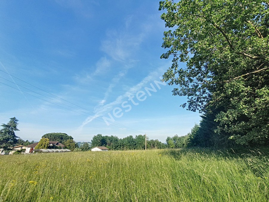 Vente Terrain à Cazères 0 pièce