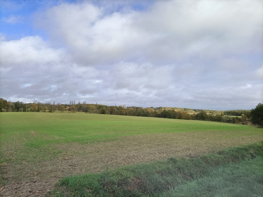 Vente Maison à Saint-Léon-d'Issigeac 0 pièce