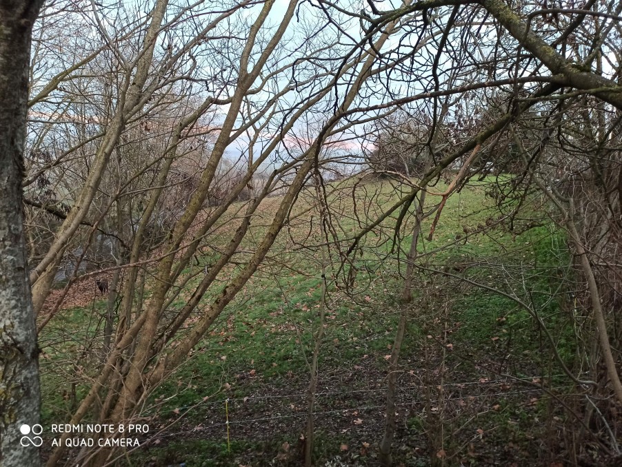 Vente Terrain à Puylaurens 0 pièce